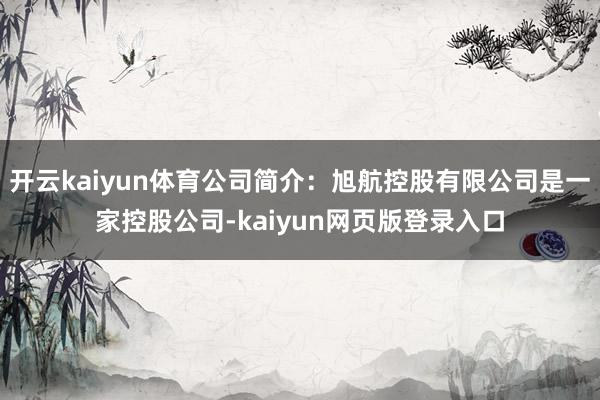 开云kaiyun体育公司简介：旭航控股有限公司是一家控股公司-kaiyun网页版登录入口
